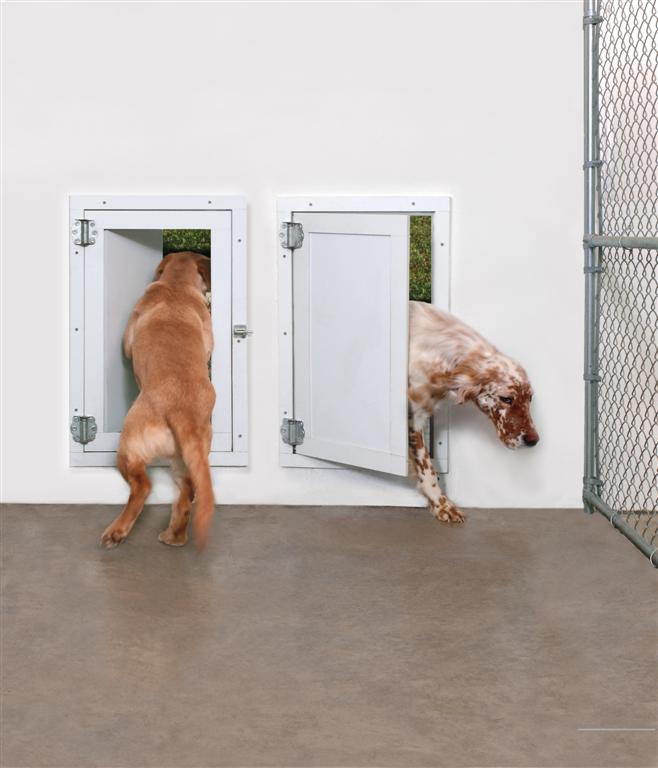 Dog shop door kennel